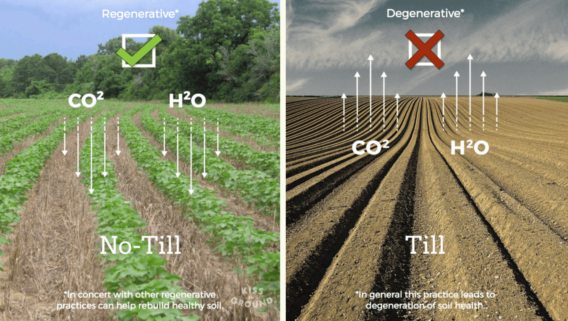 A Closer Look Regenerative Agriculture Practices