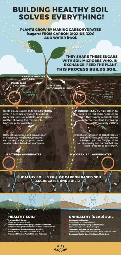 regenerative agriculture infographic