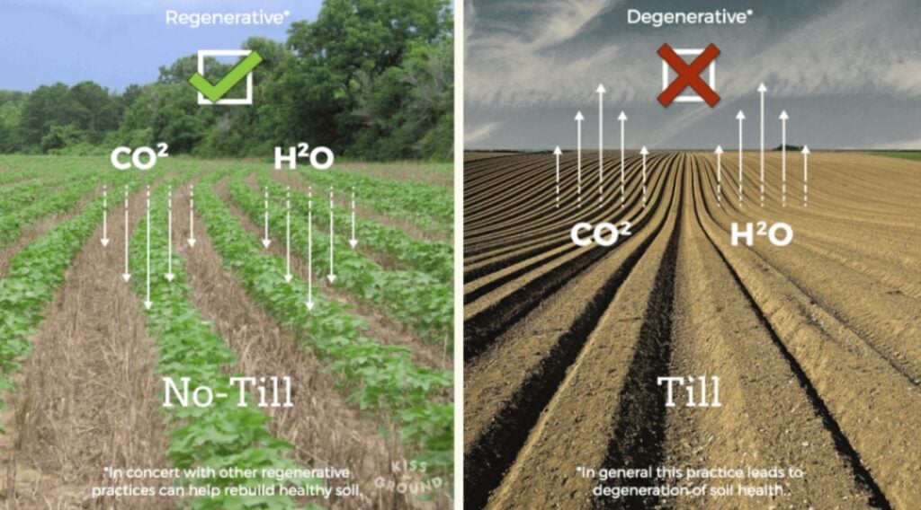 regenerative vs degenerative agriculture