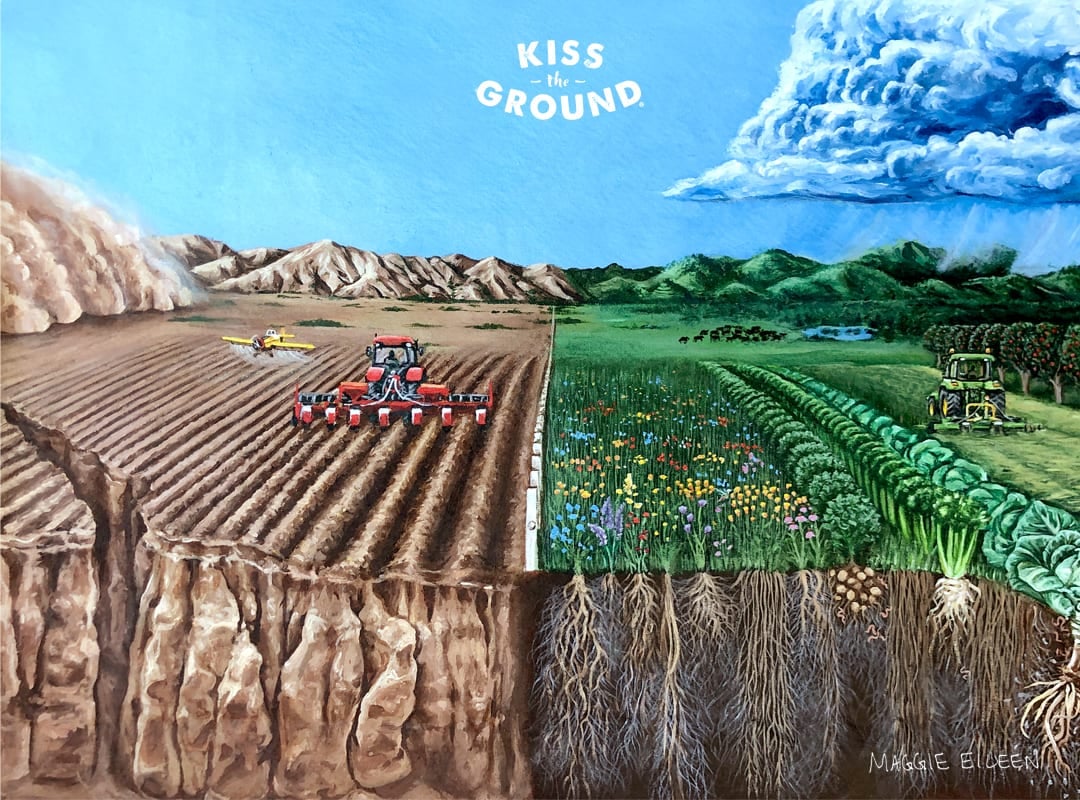 Which model do you want your food to be produced from? | Kiss the Ground