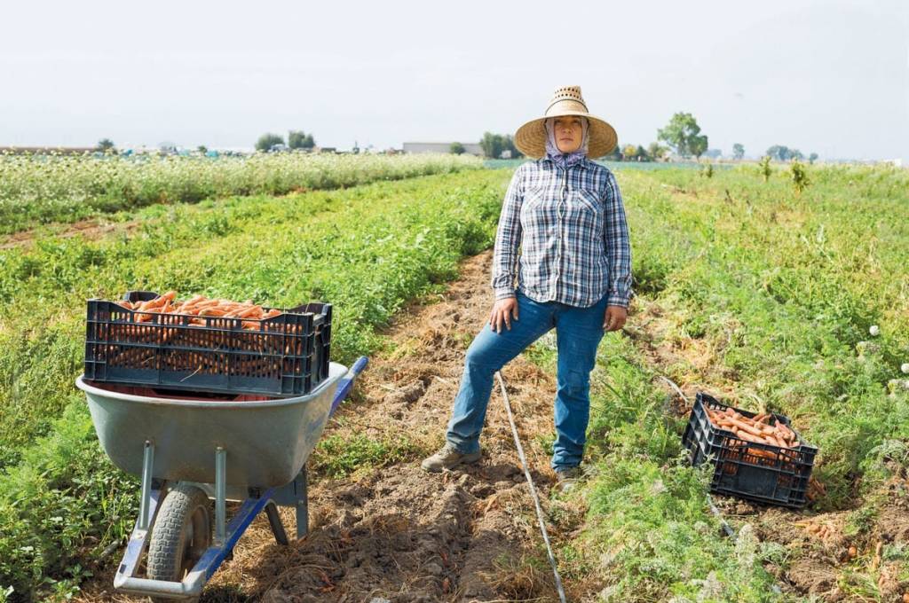A man standing in a field overflowing with carrots at The Abundant Table.