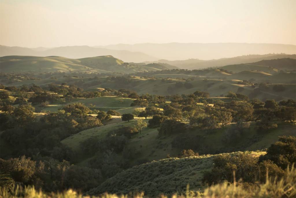 A view of the Ted Chamberlin Ranch with lush green hillside and rolling hills in the distance.