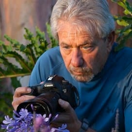 a man taking a picture of a purple flower.