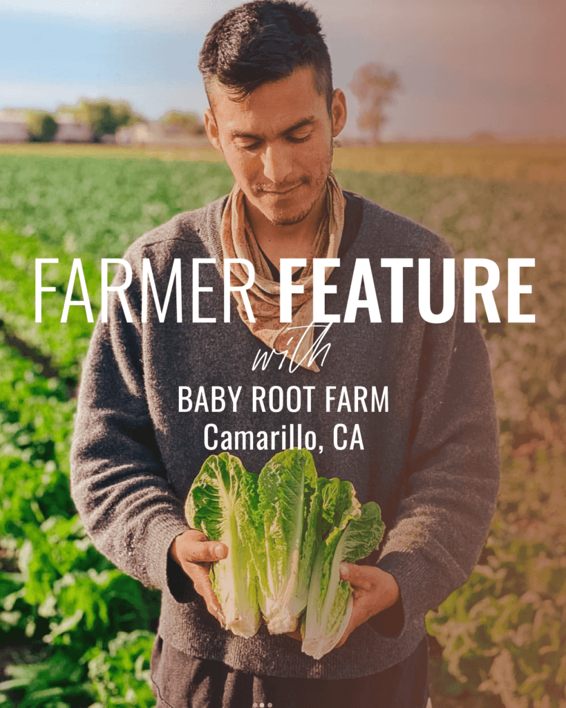 Farmer Feature Baby root farm
