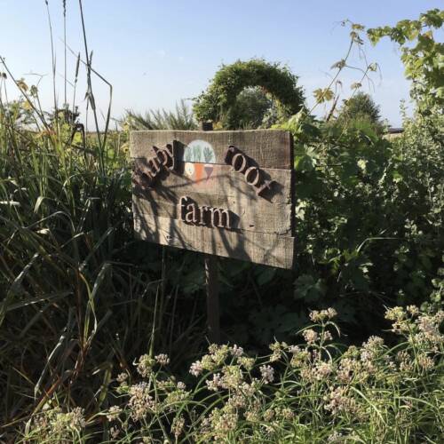 baby root farm sign