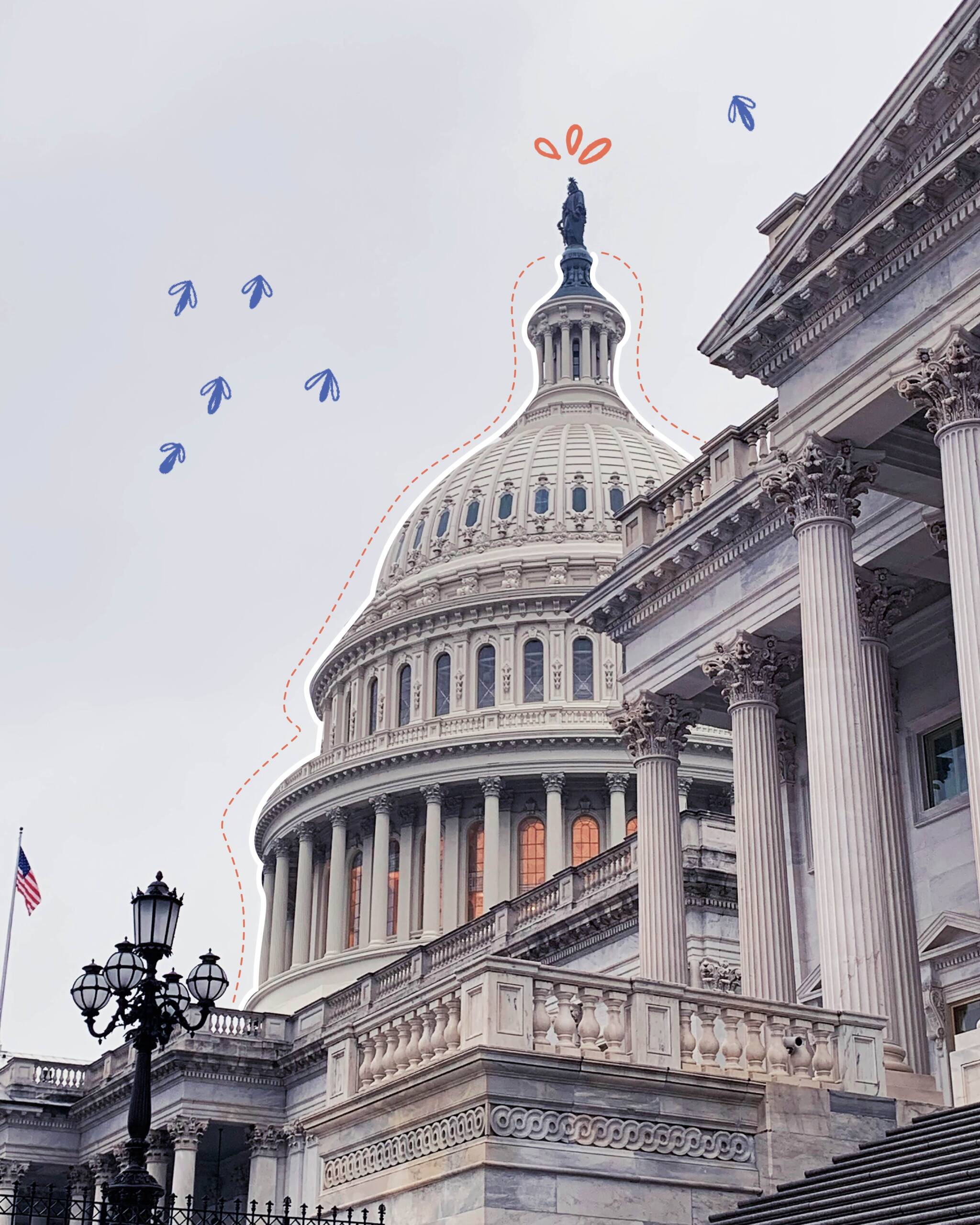 a group of birds flying over the u s capitol building.