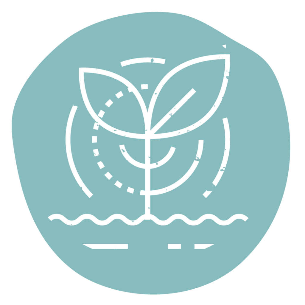 A regenerative agriculture symbol: a blue circle with a leaf on it.