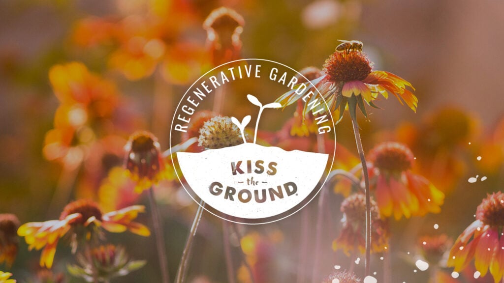 a field of flowers with a sign that says kiss the ground.