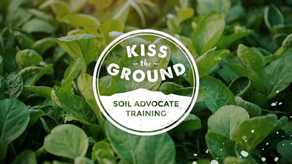 a picture of a group of plants with the words kiss the ground.