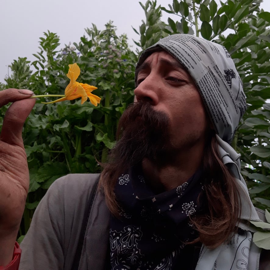 a man with a long beard holding a yellow flower.
