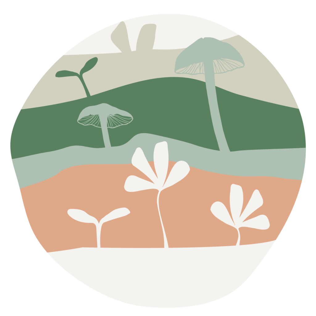 A regenerative agriculture mushroom patch in a circle.