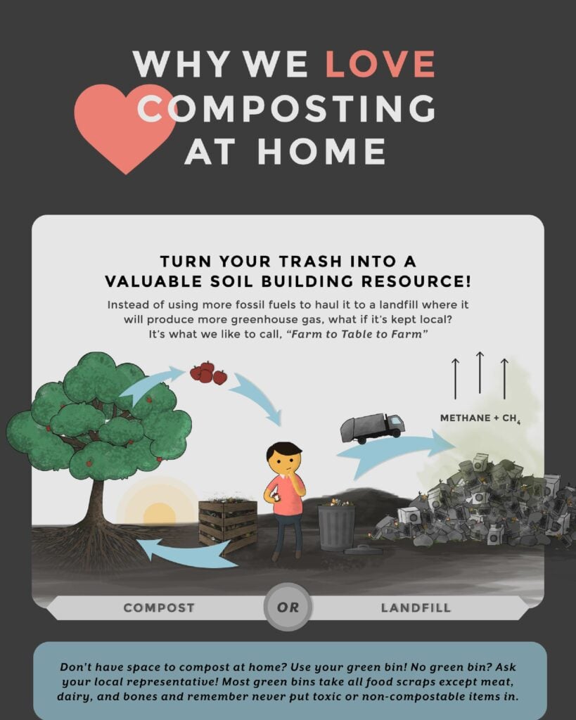 An info sheet highlighting the regenerative agriculture benefits of composting at home.