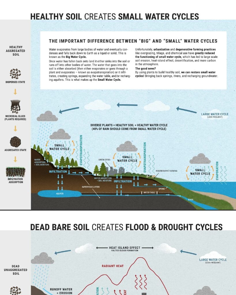 A diagram of the water cycle and healthy soil