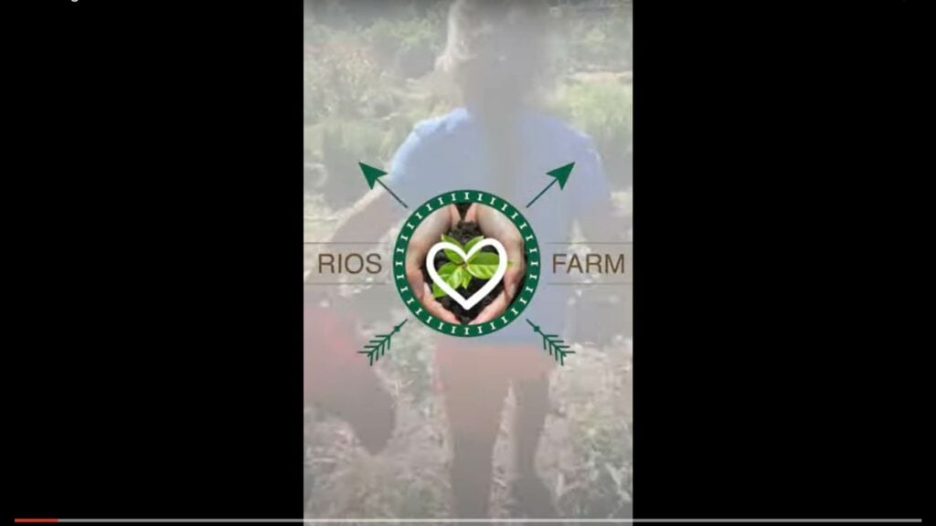 A little girl practicing regenerative agriculture walks through a field with a heart on it.