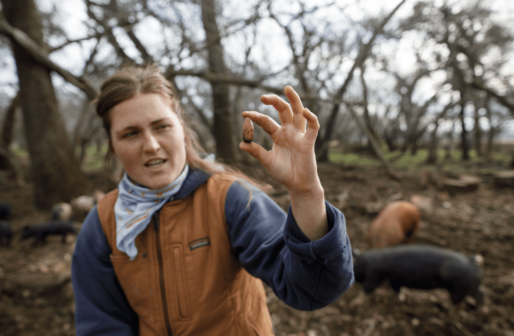 women holding a seed in a pig pen