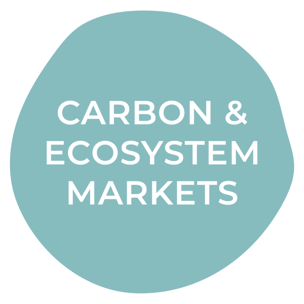 A blue circle with carbon and ecosystem markets.