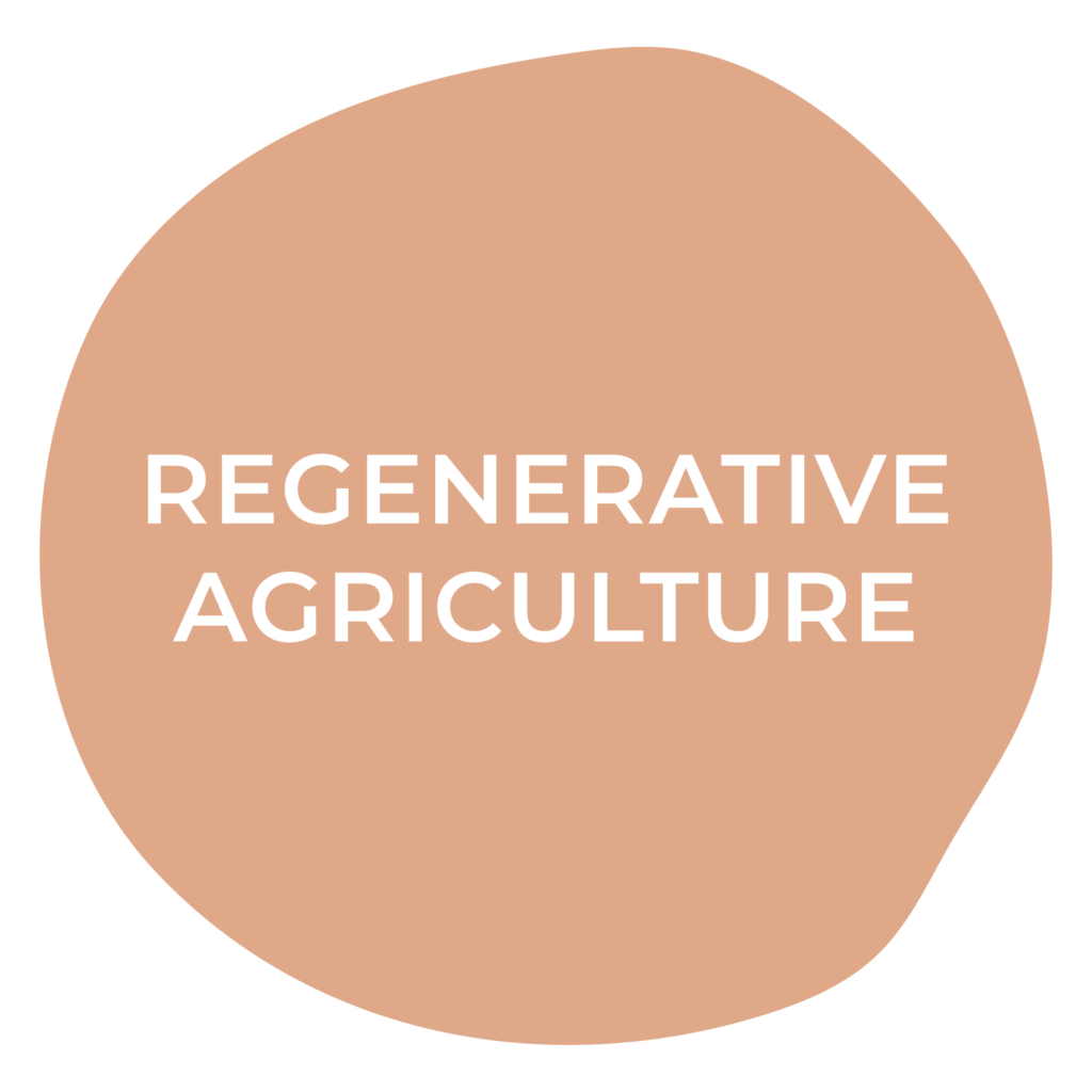 Regenerative Agriculture: Definition
