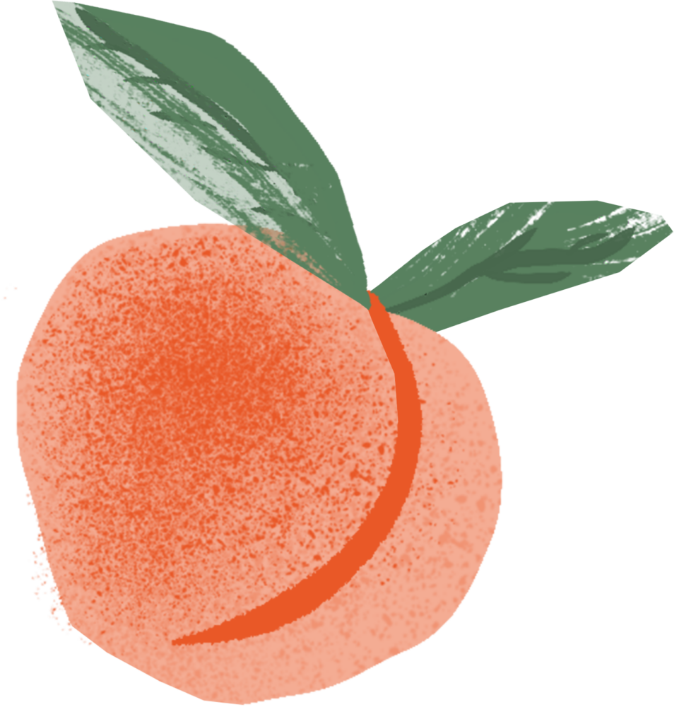 illustration of a peach