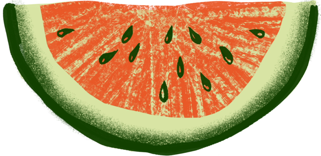 illustration of a watermelon