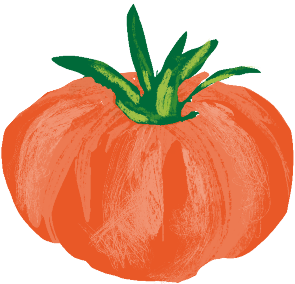 illustration of a tomato