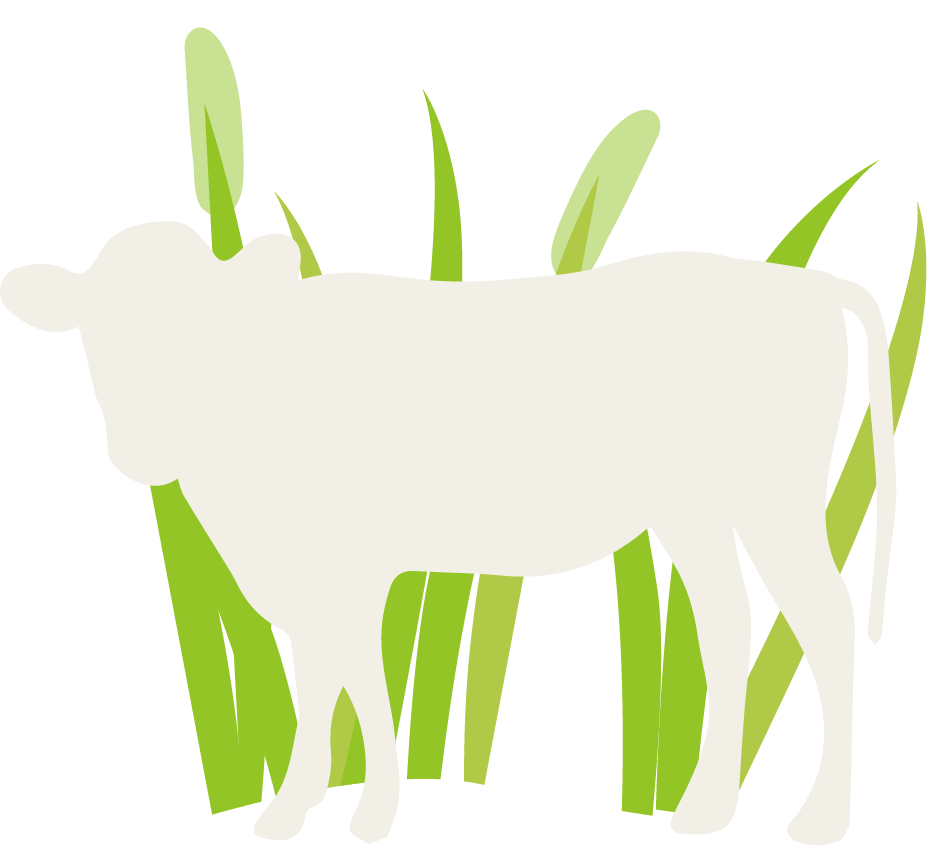 illustration of a cow in grass