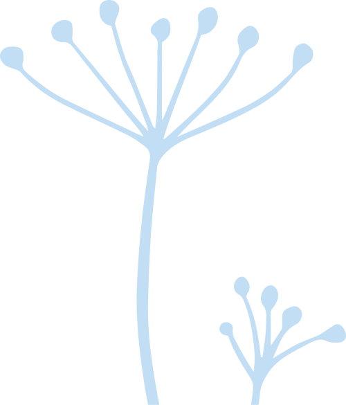 Vector (5)