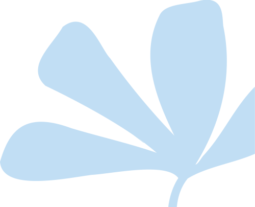 Vector (6)